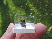 Meteorit - Campo del Cielo aus Argentinien