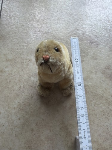 Steiff robbe seehund mit - seehund,