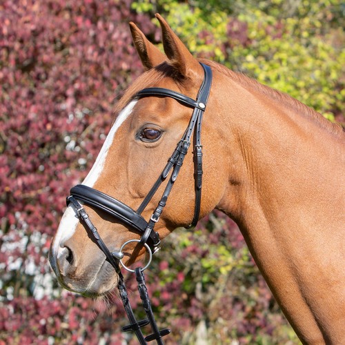 Horse passion trensenzaum - &,