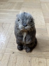 Murmeltier Plüschtier 