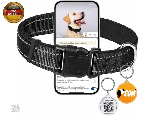 Halsband hund - halsband,