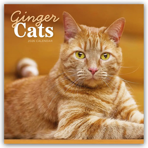 Carousel calendar ginger - calendar, |