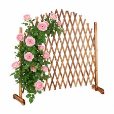 Rankgitter holz