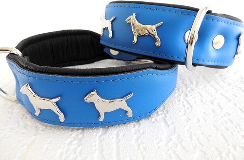 Bullterrier hundehalsband - *bullterrier*,