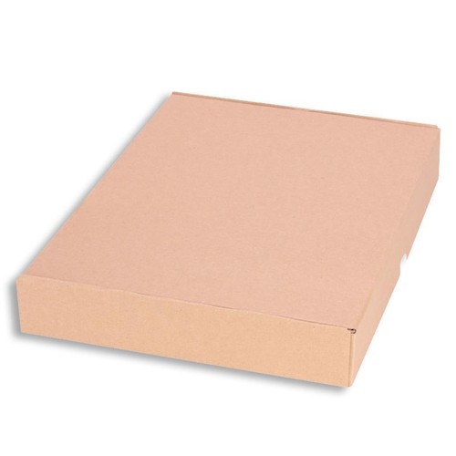 Maxibriefkarton 350 250 50 - 350, x