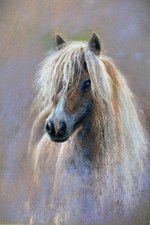 Shetland pony painting