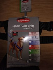 TOP Greyhound Sport Geschirr