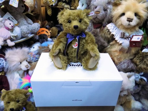 Britischer sammler teddybär - britischer,
