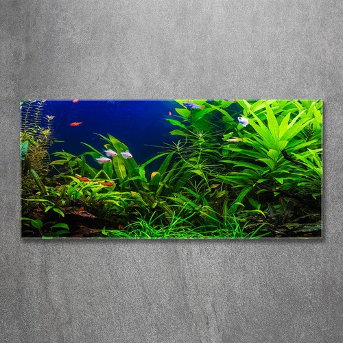 Wandbild aus plexiglas druck - aus, plexiglas®