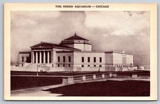 Postcard the shedd aquarium - shedd,