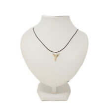 Haifischzahn versteinert als