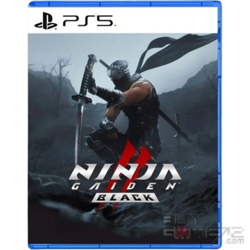 Ninja gaiden schwarz en - ninja, 2