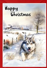 Weihnachtskarte Siberian Husky