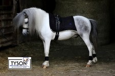 Antik Barock Show Schabracke Beauty Minishetty Shetty + 4 Mini Bandagen Tysons 