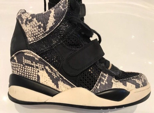 Ash high top - ash,