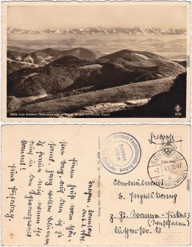 Schönau blick vom - schönau, auf