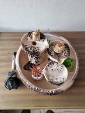 Keramik-Zimmerbrunnen 34 x 22