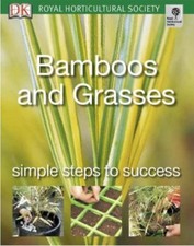 Bamboos and Grasses: Simple Steps to Success,Jon Ardle
