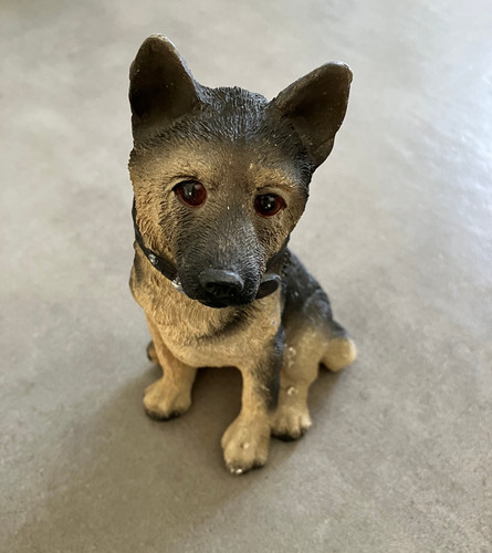 Schäferhund hund sehr - schäferhund,