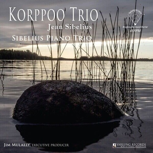 Sibelius piano trio - piano, trio💥