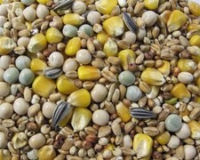 Debes ECO Zucht & Reise 6 kg