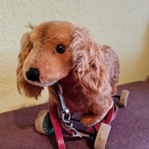 Original steiff dackel - original,