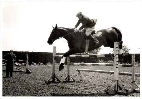 Foto springreiten sprung - foto,