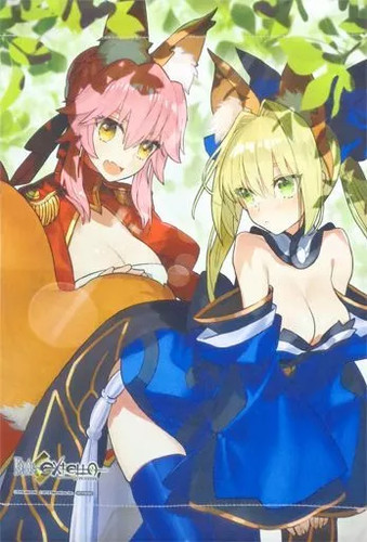 Nero claudius tamamo - no, a3