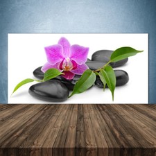 Küchenrückwand aus Glas ESG