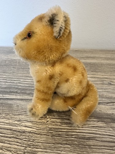 Junger kleiner löwe sitzend - junger,
