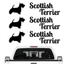 Scottish Terrier Scottie