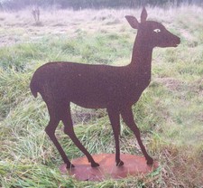Stehendes Reh 75x65cm Rost