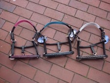 Halfter colour wave busse - colour-wave,