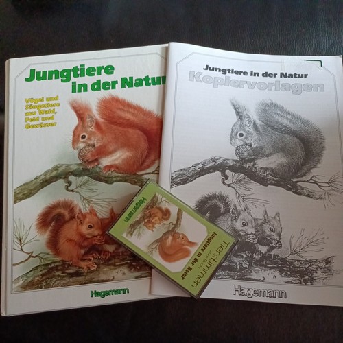 Jungtiere der natur - jungtiere,