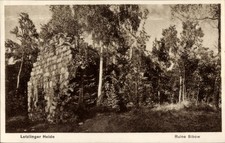 Ak Letzlingen Gardelegen