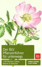 Der BLV Pflanzenführer für