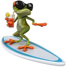 Aufkleber Surfer Frosch Cool