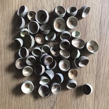 100 Eichelhütchen, ohne Stiel, Eichelkappen - Basteln -Deko -Herbst -Weihnachten