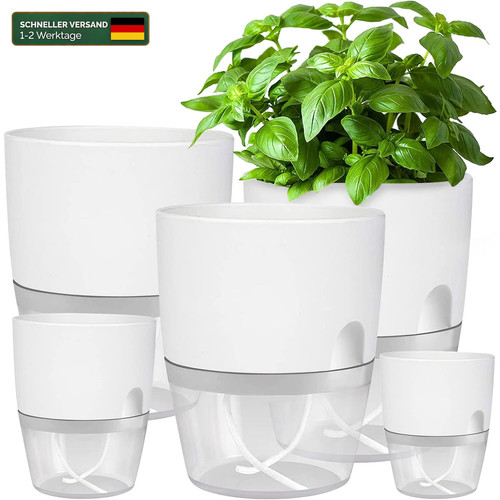 Blumentopf mit - blumentopf,