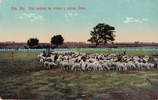 R543954 Rep Arg Una majada de