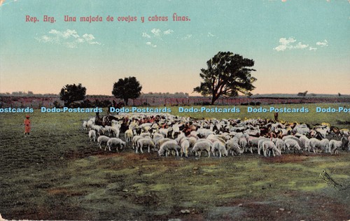 R543954 rep arg - r543954,