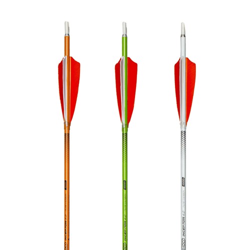 Shocq carbonpfeil inceptor 2 - shocq,