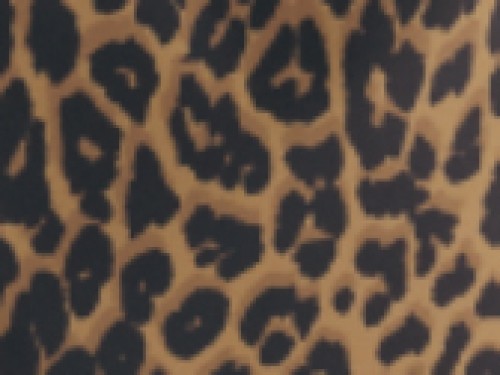 Bagbase leopard print mini - leopard,