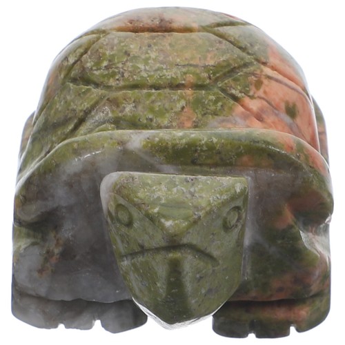 Schildkröte zubehör - schildkröte,