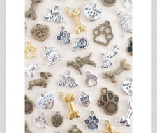 Hunde Pfoten Knochen