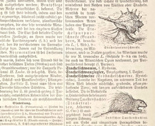 Alte Lithographie, Stachelhummer, Stachelschweinholz, Stachelwalze, ca. 1930