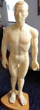 Vintage  Akupunktur Modell Puppe Praxis Figur männlich 50 cm stehend