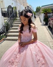 Prinzessin rosa Ballkleid Kleid, Quinceanera Kleid, Brautkleid - Größe 12 - NEU