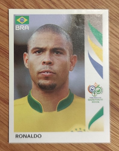 2006 panini world cup album - cup,