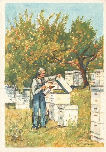Bienenzucht aller welt - in,
